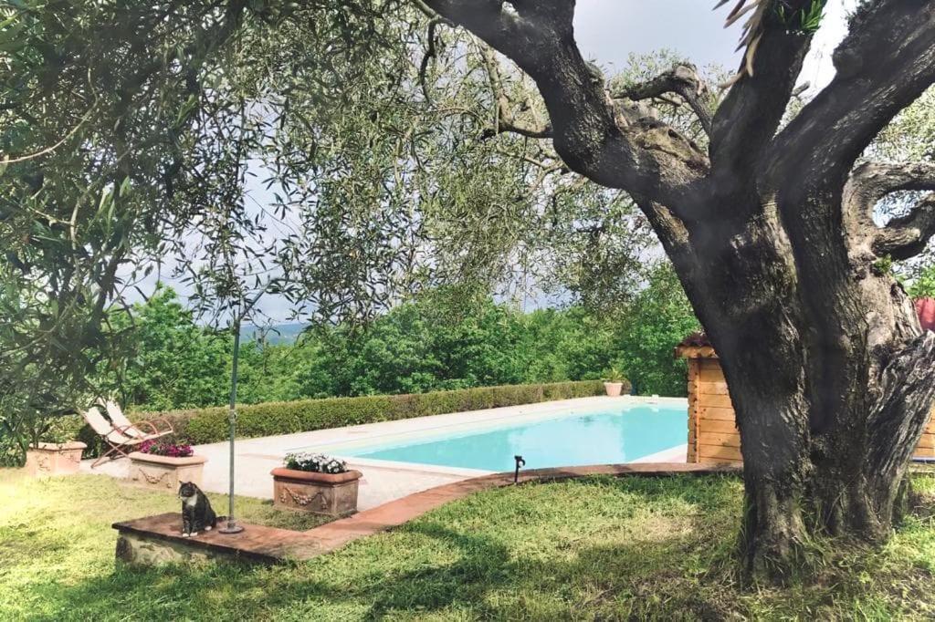 La Coccinella Appartement San Venanzo Buitenkant foto