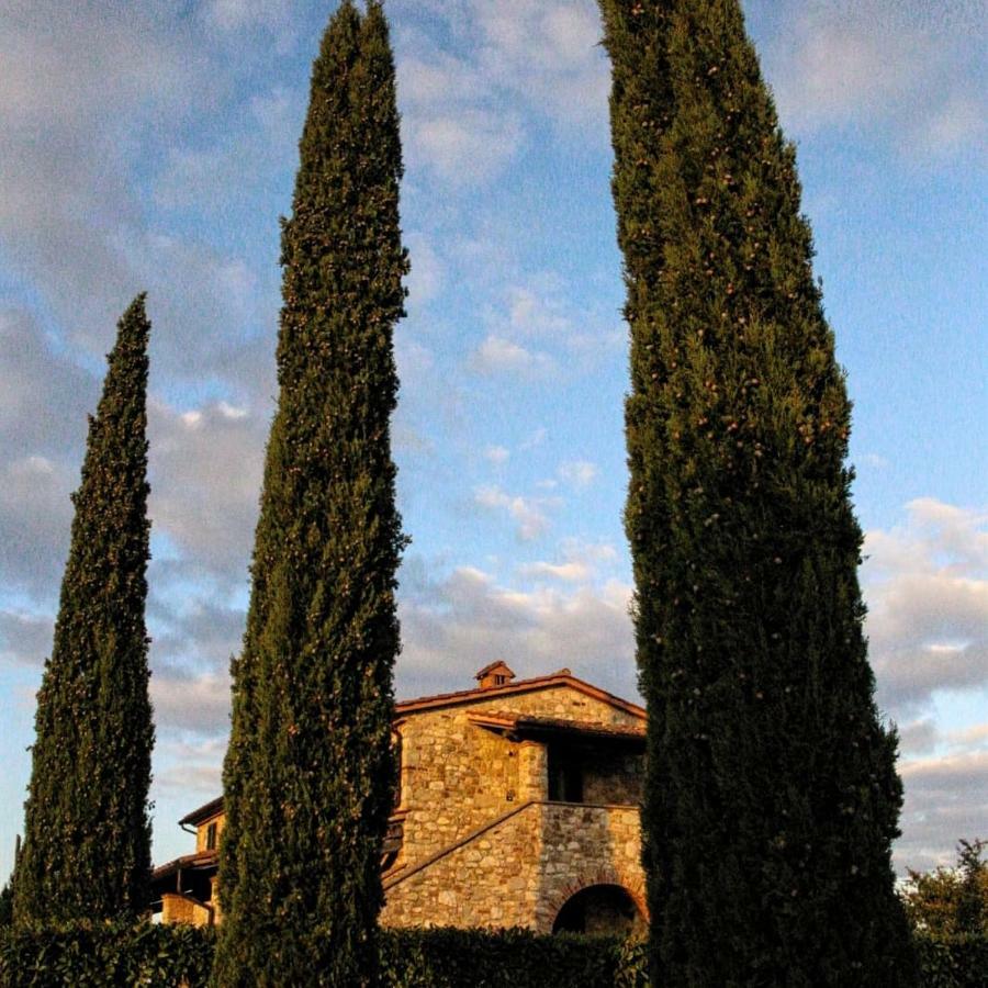 La Coccinella Appartement San Venanzo Buitenkant foto