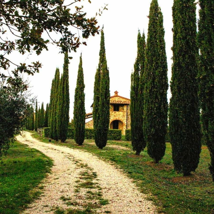 La Coccinella Appartement San Venanzo Buitenkant foto