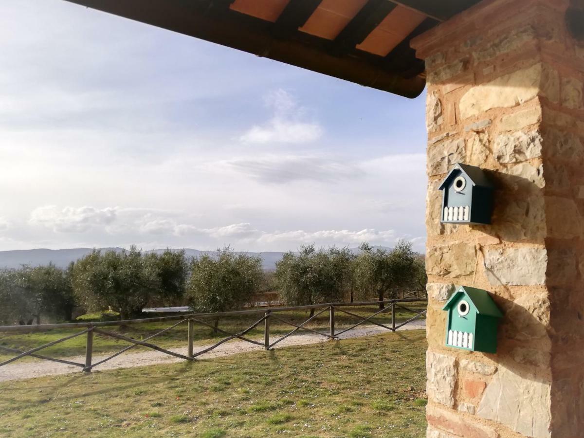 La Coccinella Appartement San Venanzo Buitenkant foto