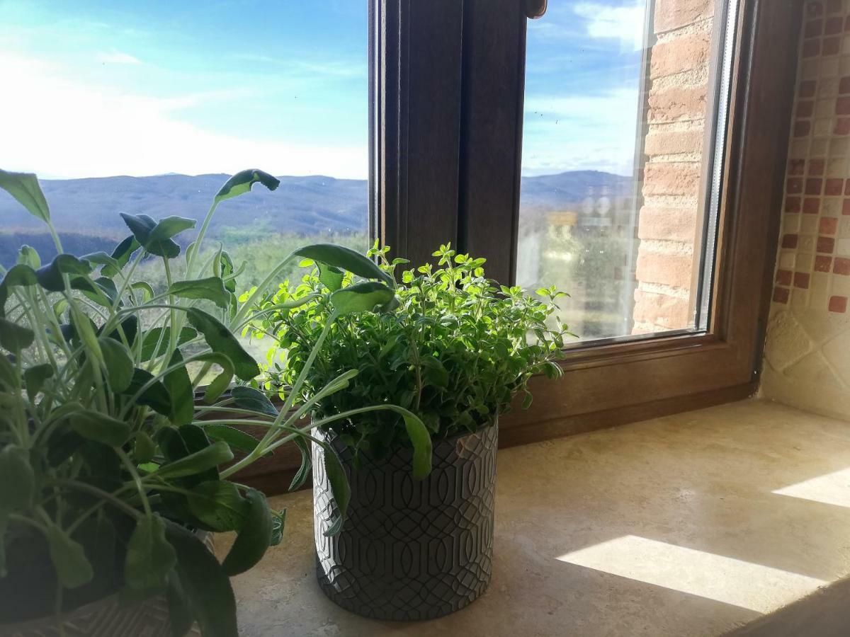 La Coccinella Appartement San Venanzo Buitenkant foto