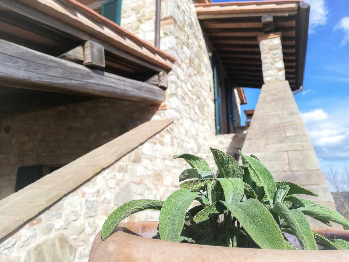 La Coccinella Appartement San Venanzo Buitenkant foto